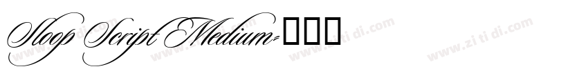Sloop Script Medium字体转换